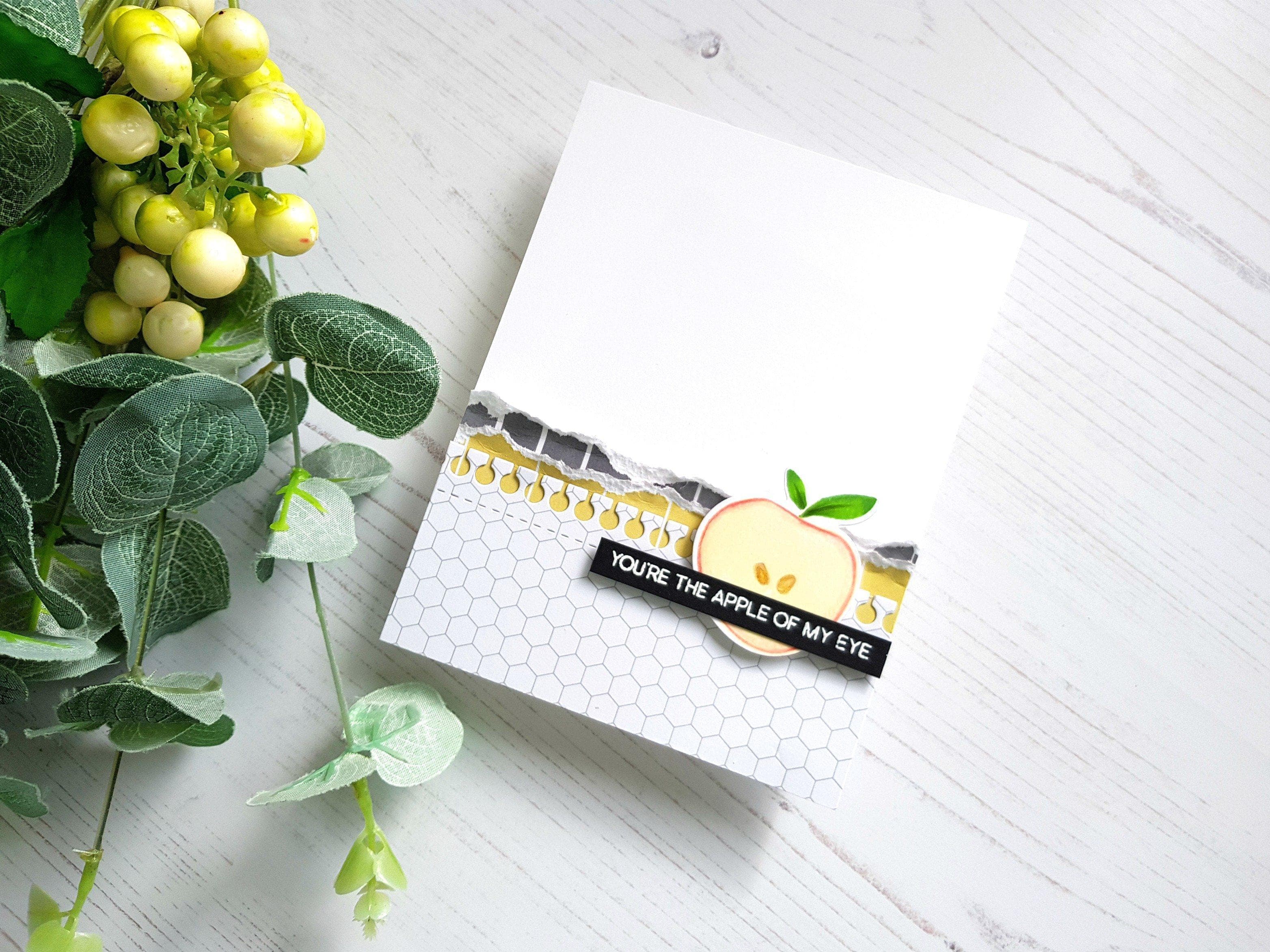 altenew-stamps-simple-fruits-stamp-die-bundle-stempel-obst-6x8 image 6
