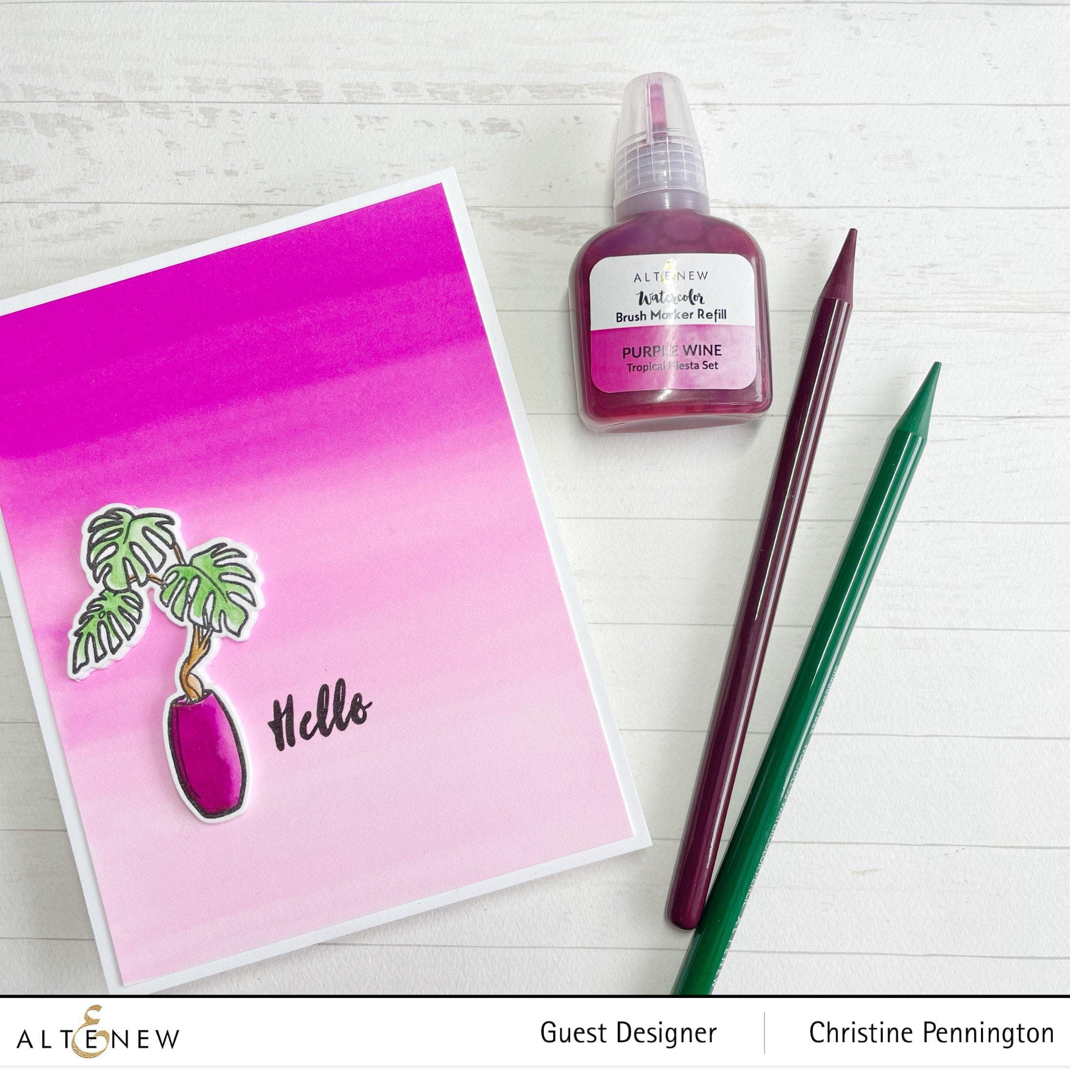 altenew-monstera-in-vase-stempel-2x3-mini-set image 8