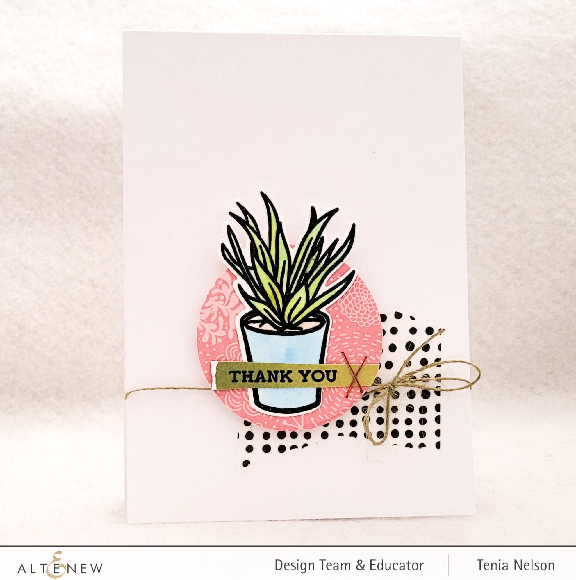 altenew-stamps-potted-succulent-stempelset-sukkulente-2x3 image 4