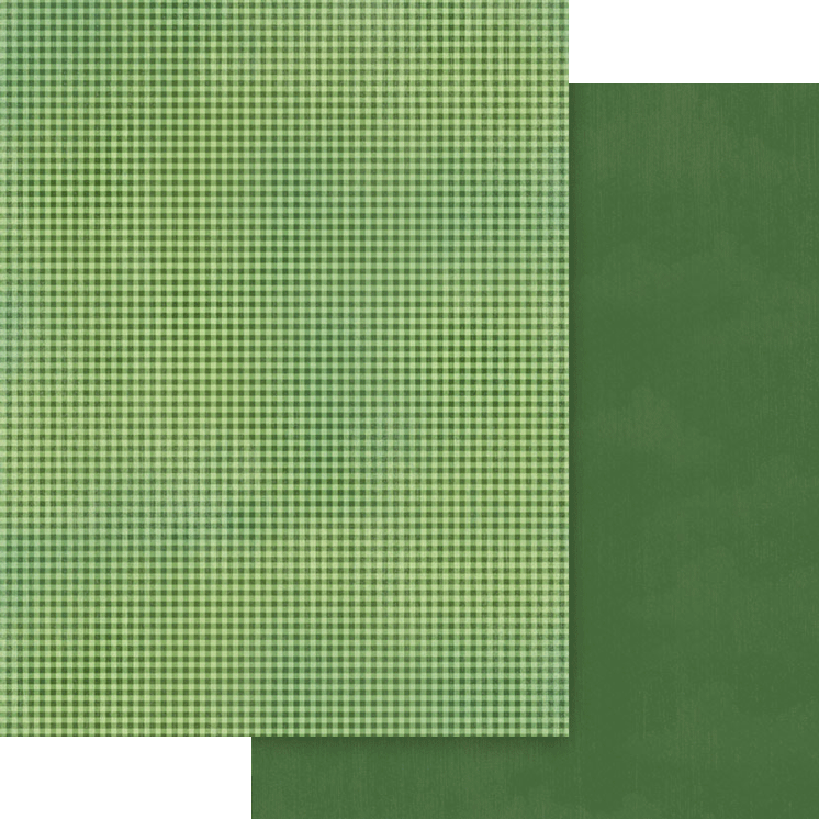 graphic-45-wonder-of-oz-patterns-solids-papier-8-5x11 image 7