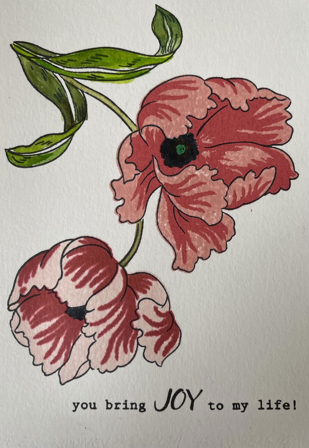 Mohnblüten gelingen gut