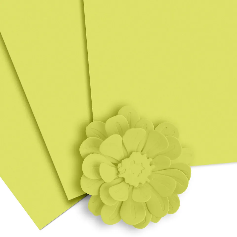 altenew-crafty-necessities-cardstock-limeade-gr-n-10-blatt image 1