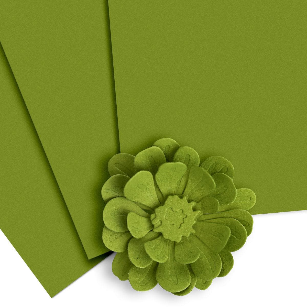 altenew-paper-more-olive-cardstock-10-bogen-olivgr-n image 1