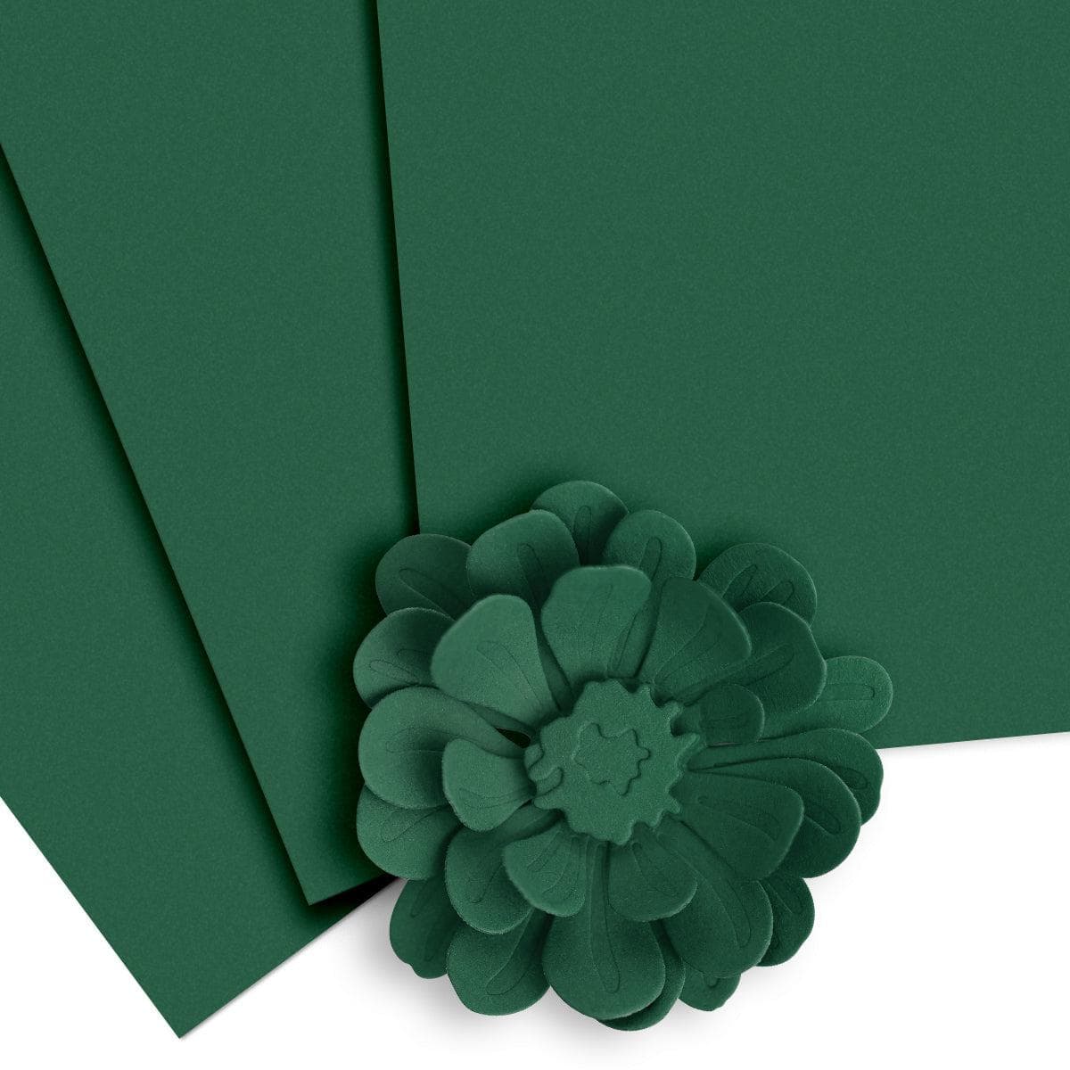 altenew-forest-fern-cardstock-papier-10-bogen-teal image 1