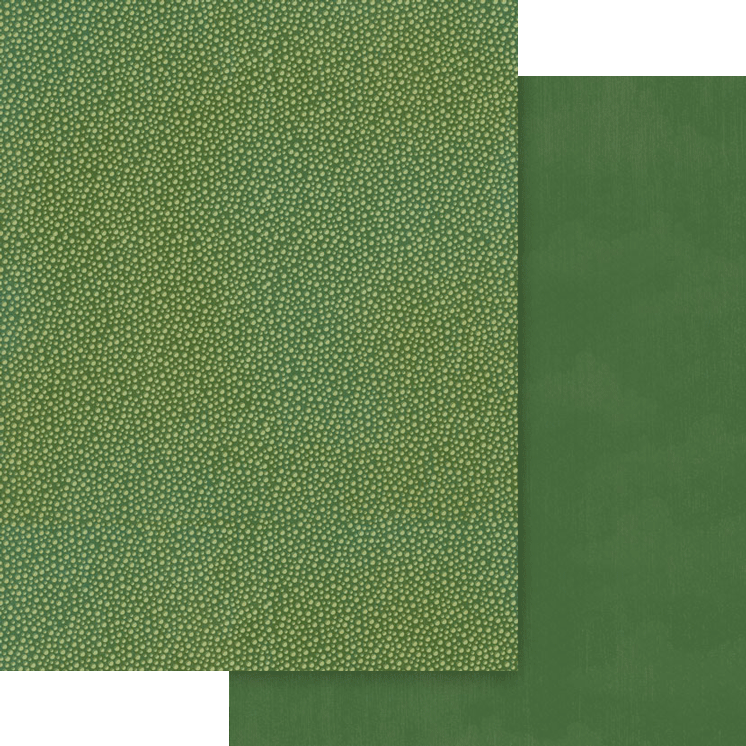 graphic-45-wonder-of-oz-patterns-solids-papier-8-5x11 image 6